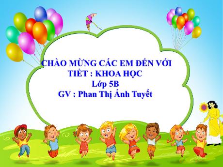 Bài giảng Khoa học Lớp 5 - Bài 14: Phòng bệnh viêm não - Năm học 2023-2024 - Phan Thị Ánh Tuyết