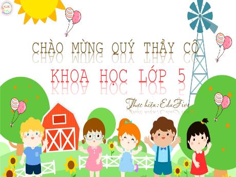 Bài giảng Khoa học Lớp 5 - Bài 2: Nam hay nữ (Tiết 1) - Nguyễn Thị Mỹ Linh