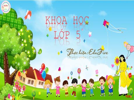 Bài giảng Khoa học Lớp 5 - Bài 2: Nam hay nữ (Tiết 2) - Nguyễn Thị Mỹ Linh