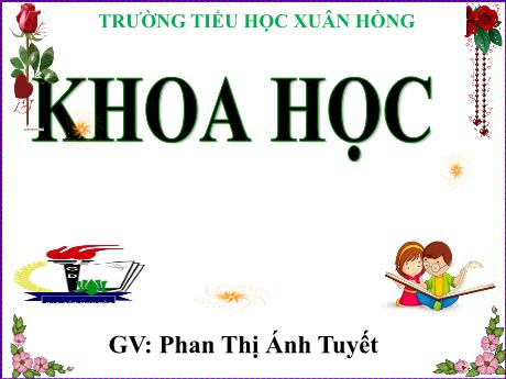 Bài giảng Khoa học Lớp 5 - Bài 5: Cần làm gì để cả mẹ và em bé đều khỏe? - Năm học 2023-2024 - Phan Thị Ánh Tuyết