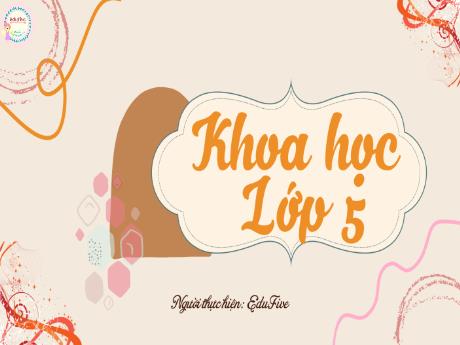 Bài giảng Khoa học Lớp 5 - Bài 5: Cần làm gì để cả mẹ và em bé đều khỏe? - Nguyễn Thị Mỹ Linh