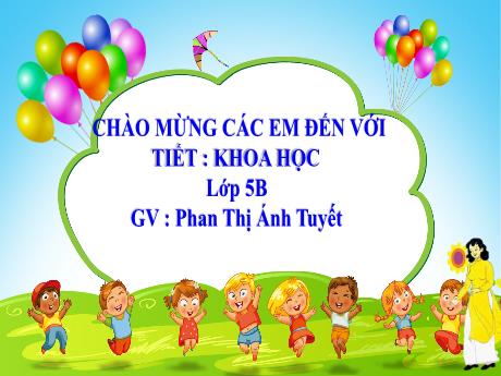 Bài giảng Khoa học Lớp 5 - Bài 6: Từ tuổi vị thành niên đến tuổi già - Năm học 2023-2024 - Phan Thị Ánh Tuyết