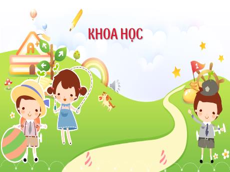 Bài giảng Khoa học Lớp 5 - Bài: Thực hành: Nói không! đối với các chất gây nghiện (Tiếp theo) - Nguyễn Thị Mỹ Linh