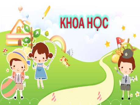 Bài giảng Khoa học Lớp 5 - Bài: Thực hành: Nói không! đối với các chất gây nghiện - Nguyễn Thị Mỹ Linh
