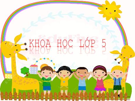 Bài giảng Khoa học Lớp 5 - Tuần 1, Bài 1: Sự sinh sản - Năm học 2023-2024 - Phan Thị Huyền