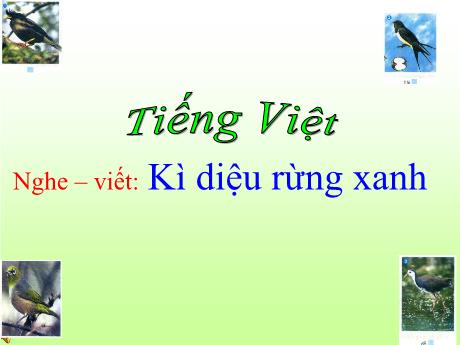 Bài giảng Tiếng Việt Lớp 5 (Chính tả) - Bài: Kì diệu rừng xanh - Năm học 2023-2024 - Phan Thị Huyền